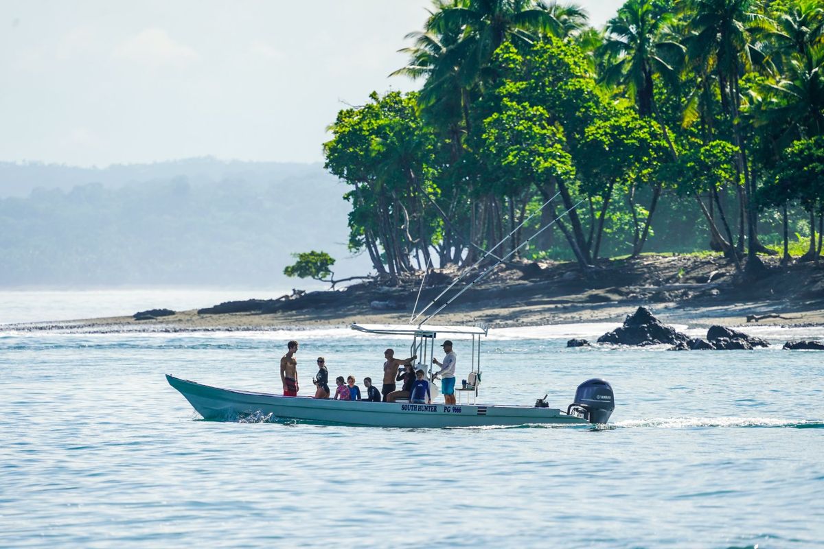 A tour boat anchored off a palm-lined beach in Golfo Dulce
