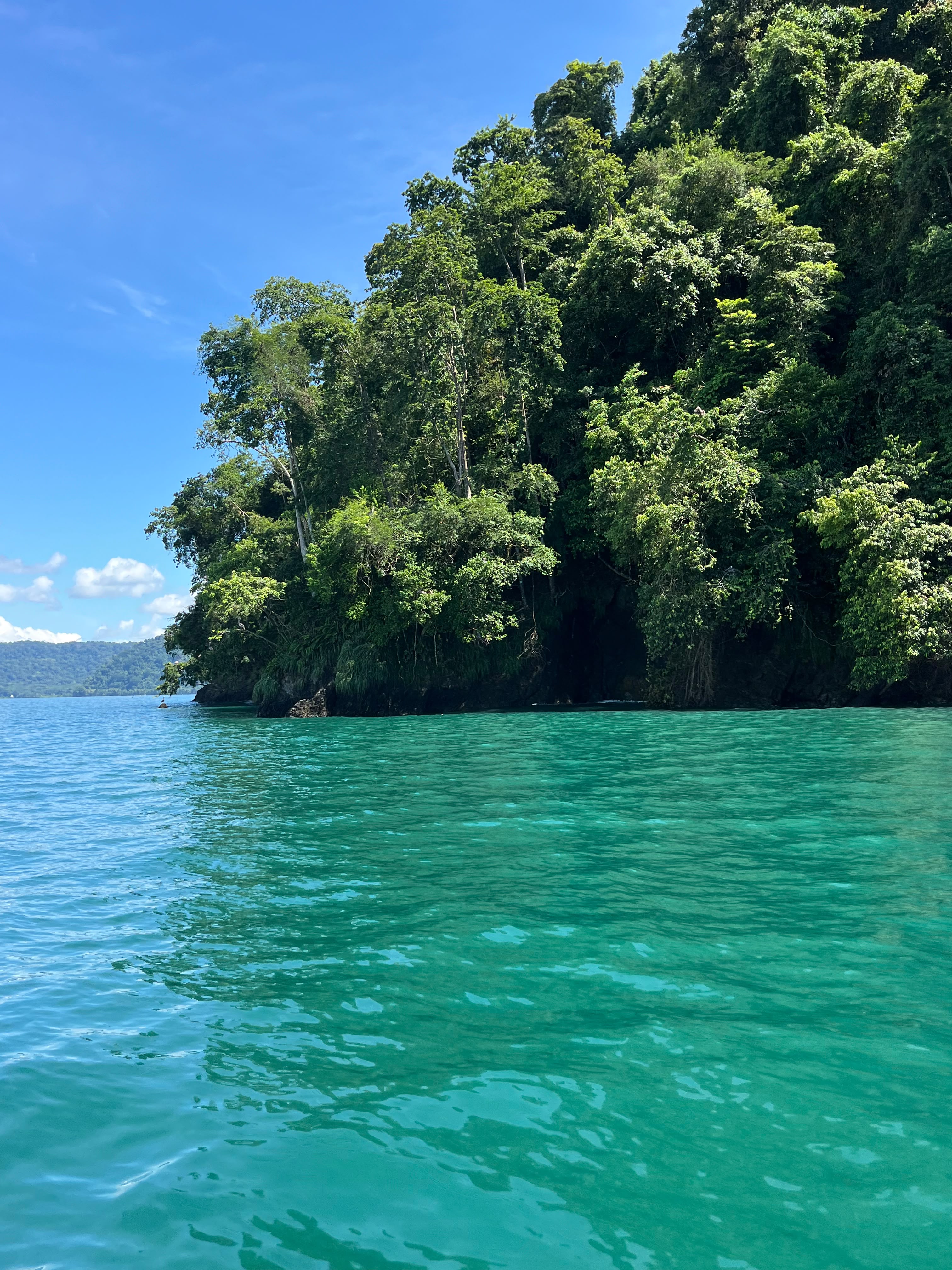 Clear green water against a wall of rainforest on the Osa side of the gulf