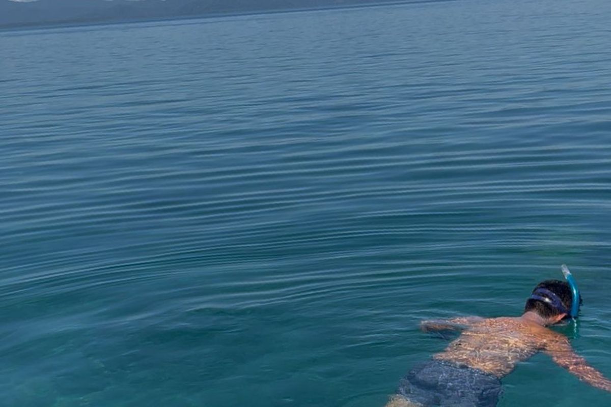 A snorkeller in clear turquoise water in Golfo Dulce, Costa Rica