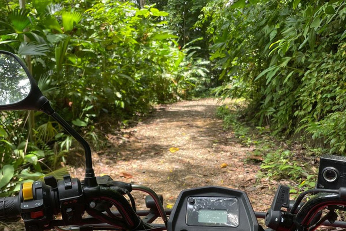 The handlebars of an ATV on a jungle trail behind Pavones