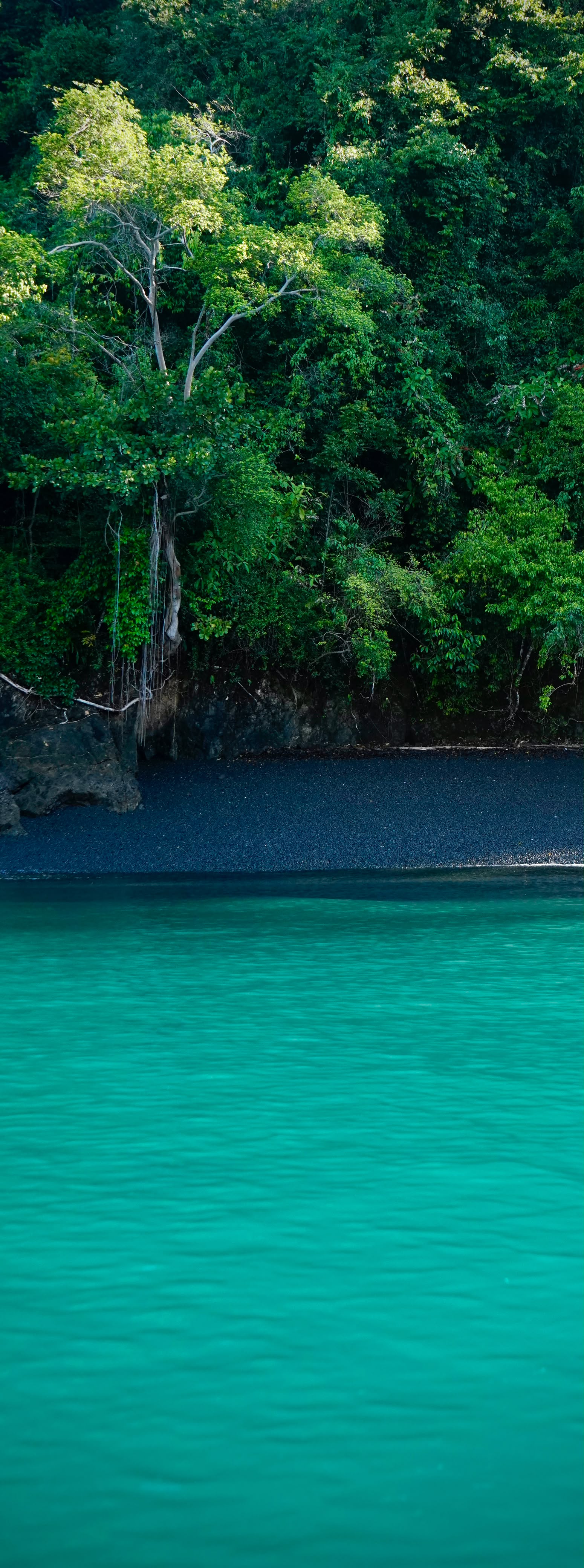 Rainforest shoreline meeting turquoise shallows near Matapalo, Costa Rica